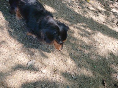 f:id:roukenhome-ann:20190515075802j:plain