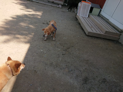 f:id:roukenhome-ann:20190515075811j:plain