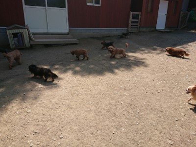 f:id:roukenhome-ann:20190515075817j:plain