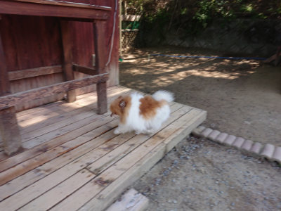 f:id:roukenhome-ann:20190515075821j:plain