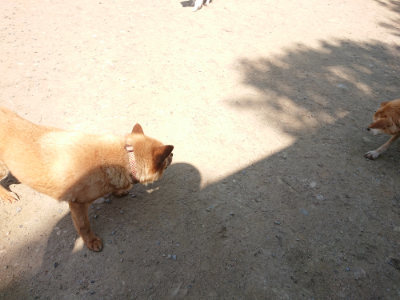 f:id:roukenhome-ann:20190515075836j:plain