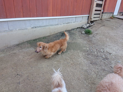 f:id:roukenhome-ann:20190515075850j:plain