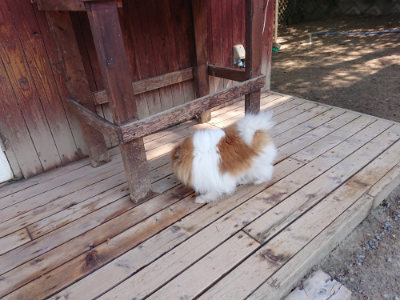 f:id:roukenhome-ann:20190515075855j:plain