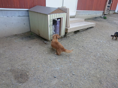 f:id:roukenhome-ann:20190515075915j:plain