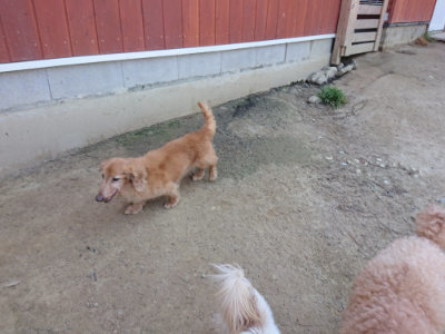 f:id:roukenhome-ann:20190515075920j:plain