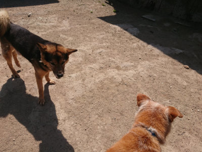 f:id:roukenhome-ann:20190515075925j:plain