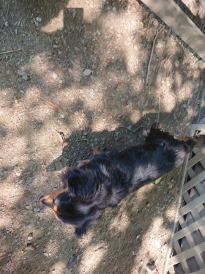 f:id:roukenhome-ann:20190515075930j:plain