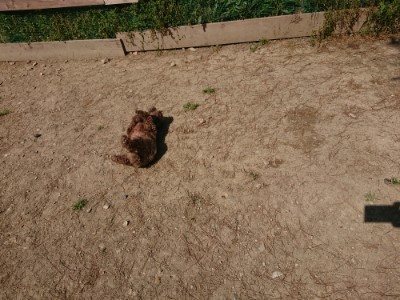 f:id:roukenhome-ann:20190515075936j:plain