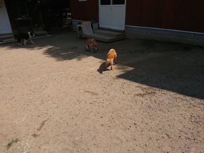 f:id:roukenhome-ann:20190515075953j:plain