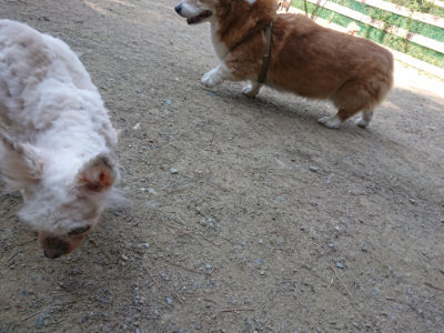 f:id:roukenhome-ann:20190515084927j:plain