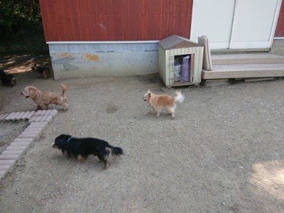 f:id:roukenhome-ann:20190515084931j:plain