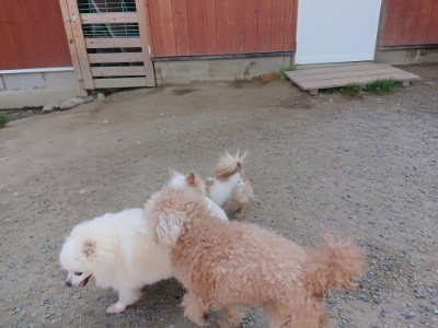 f:id:roukenhome-ann:20190515084958j:plain