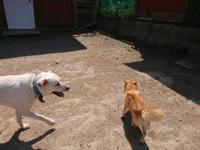 f:id:roukenhome-ann:20190515085019j:plain