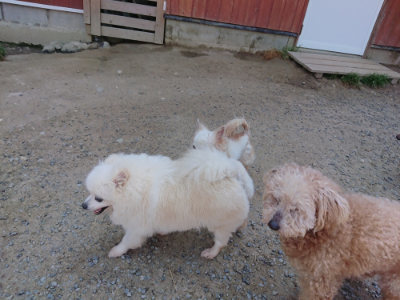 f:id:roukenhome-ann:20190515085036j:plain