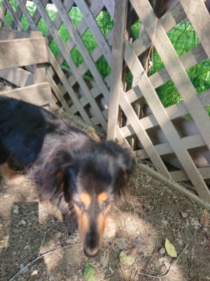 f:id:roukenhome-ann:20190515085105j:plain