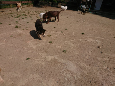 f:id:roukenhome-ann:20190515085120j:plain