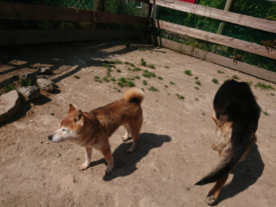 f:id:roukenhome-ann:20190515085147j:plain