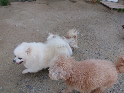 f:id:roukenhome-ann:20190515085152j:plain