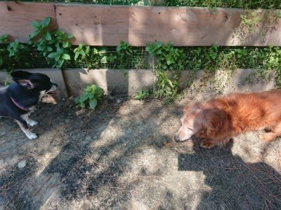 f:id:roukenhome-ann:20190515085201j:plain