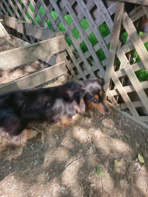 f:id:roukenhome-ann:20190515085217j:plain