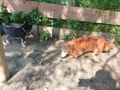 f:id:roukenhome-ann:20190515085222j:plain