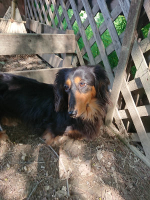 f:id:roukenhome-ann:20190515085242j:plain