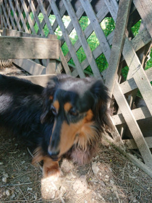 f:id:roukenhome-ann:20190515085248j:plain