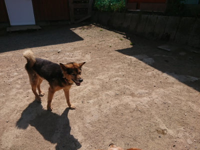 f:id:roukenhome-ann:20190515085257j:plain