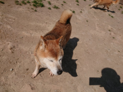 f:id:roukenhome-ann:20190515085320j:plain