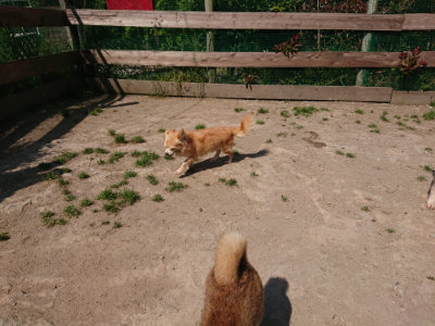 f:id:roukenhome-ann:20190515085338j:plain