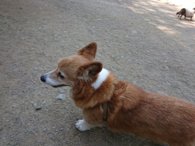 f:id:roukenhome-ann:20190515085343j:plain