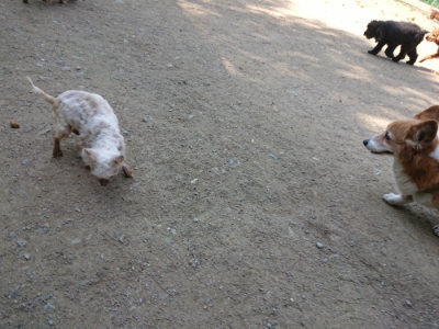 f:id:roukenhome-ann:20190515085407j:plain