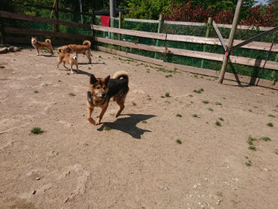 f:id:roukenhome-ann:20190515085551j:plain
