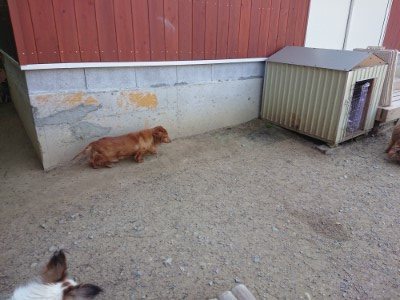 f:id:roukenhome-ann:20190515085559j:plain