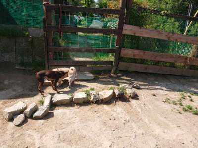f:id:roukenhome-ann:20190515085608j:plain
