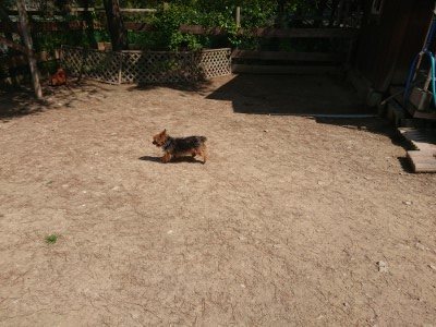 f:id:roukenhome-ann:20190515085619j:plain