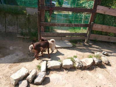 f:id:roukenhome-ann:20190515085629j:plain