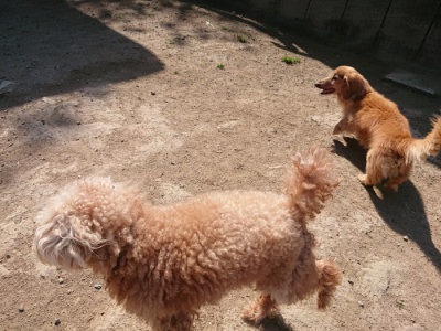 f:id:roukenhome-ann:20190515085648j:plain