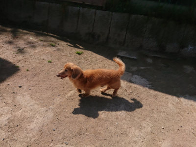 f:id:roukenhome-ann:20190515085707j:plain