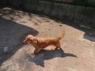f:id:roukenhome-ann:20190515085711j:plain