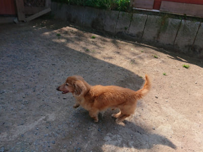 f:id:roukenhome-ann:20190515085716j:plain