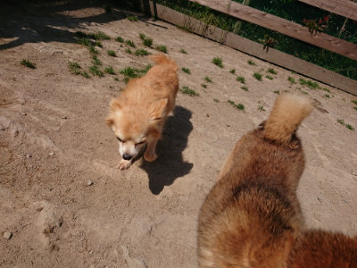 f:id:roukenhome-ann:20190515085727j:plain