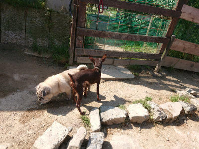 f:id:roukenhome-ann:20190515085733j:plain