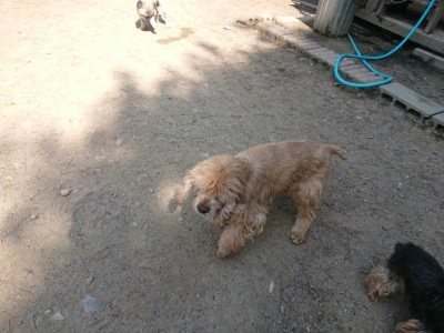 f:id:roukenhome-ann:20190515085737j:plain