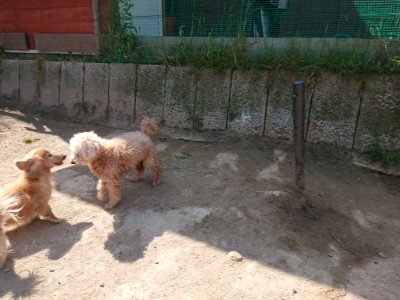 f:id:roukenhome-ann:20190515085753j:plain