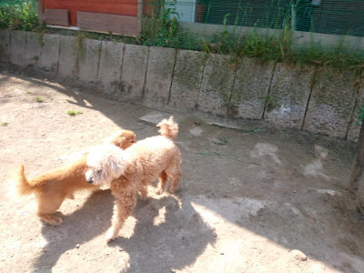 f:id:roukenhome-ann:20190515085813j:plain