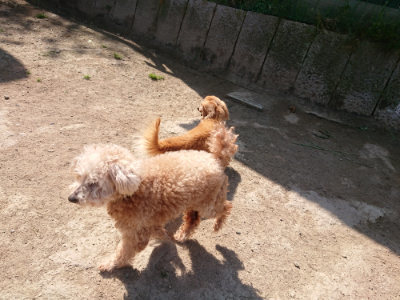 f:id:roukenhome-ann:20190515085829j:plain