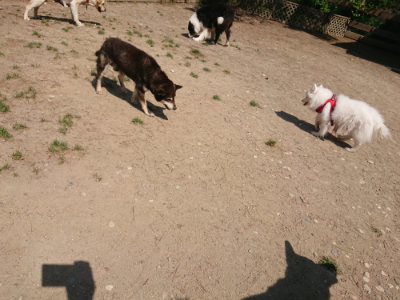 f:id:roukenhome-ann:20190515085848j:plain