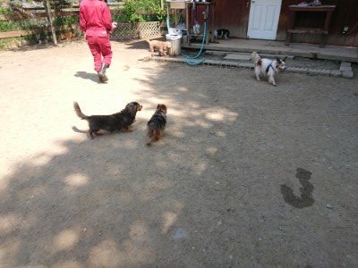 f:id:roukenhome-ann:20190515085851j:plain