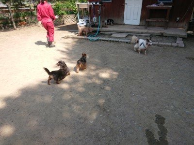 f:id:roukenhome-ann:20190515085856j:plain